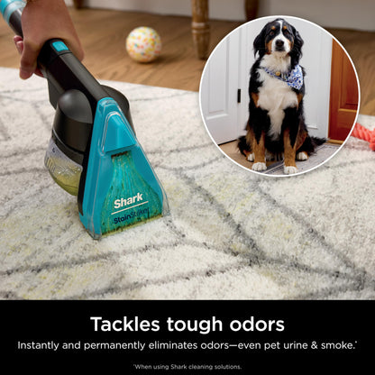 Shark CarpetXpert EX301 HairPro mit StainStriker, aufrechter Teppich- & Polsterreiniger, Flecken- & Geruchsentferner, Teppich-Shampooer